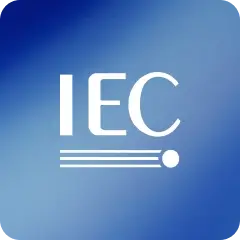 icon 13