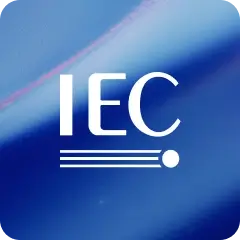 icon 12
