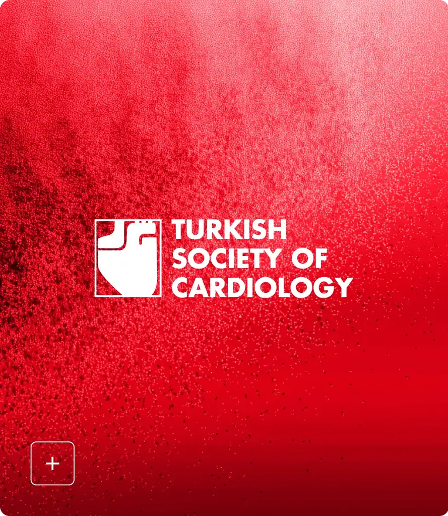 PMcardio STEMI AI ECG Model